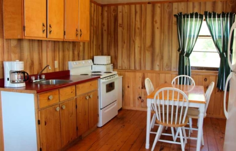 Cabin Kitchen and Dining Table
