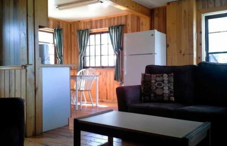 Cabin Living Area and Kitchen